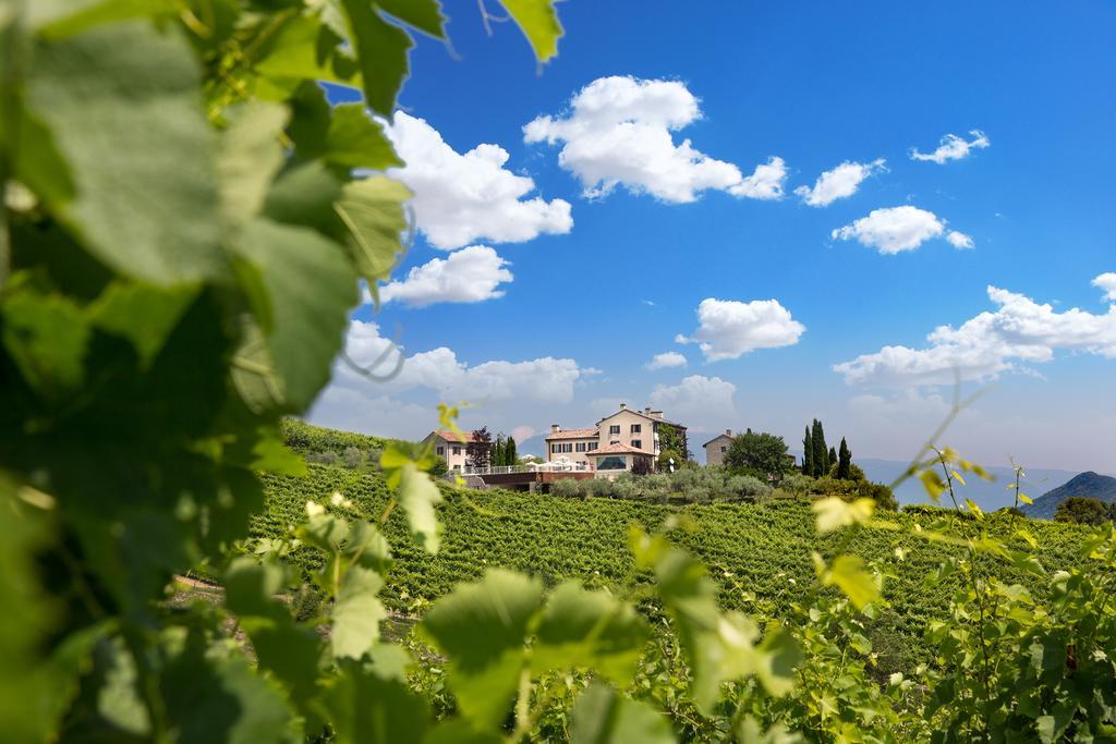 Villa Prosecco Tarzo Exteriör bild